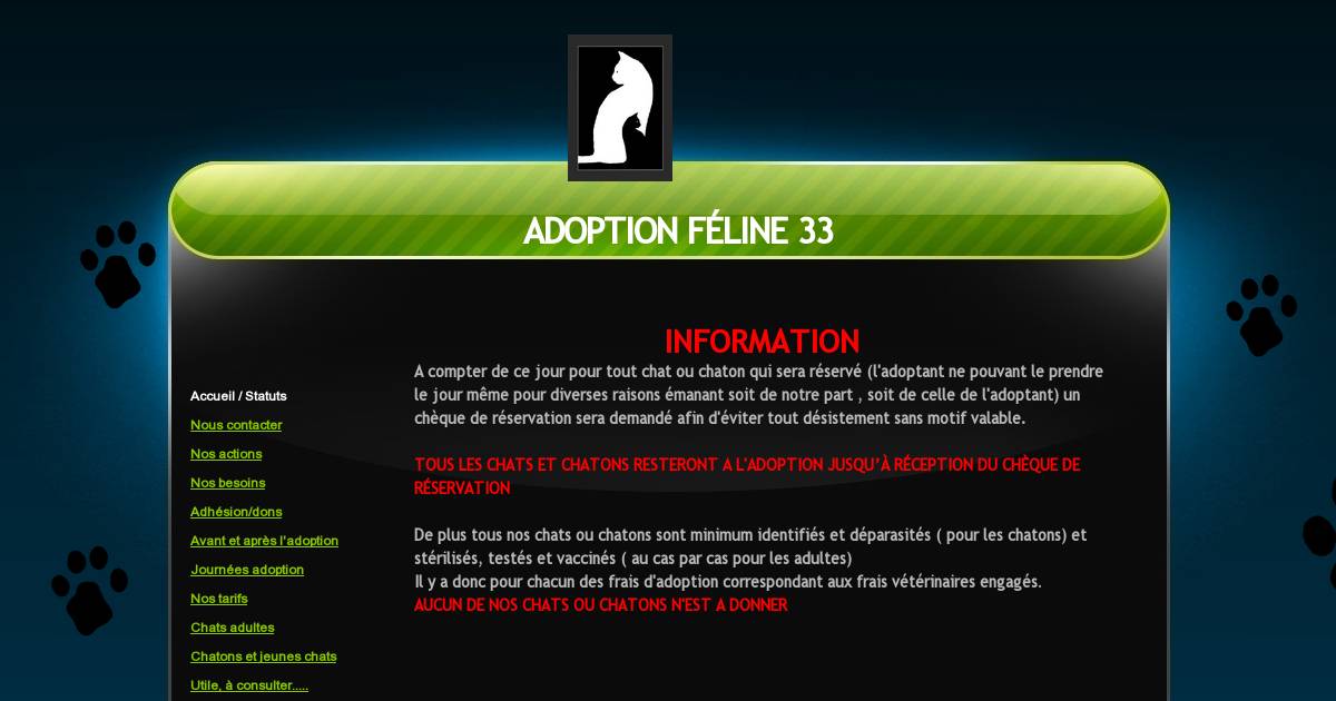 Adoption Feline 33